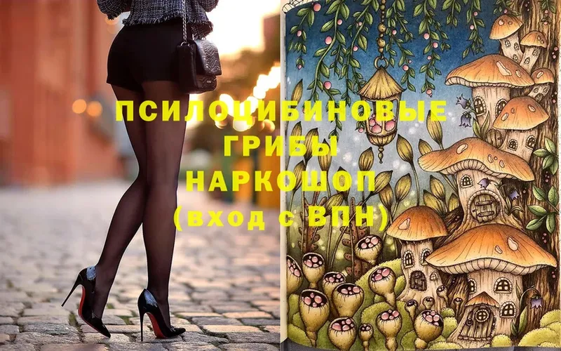 Псилоцибиновые грибы Cubensis  ссылка на мегу   Серпухов 